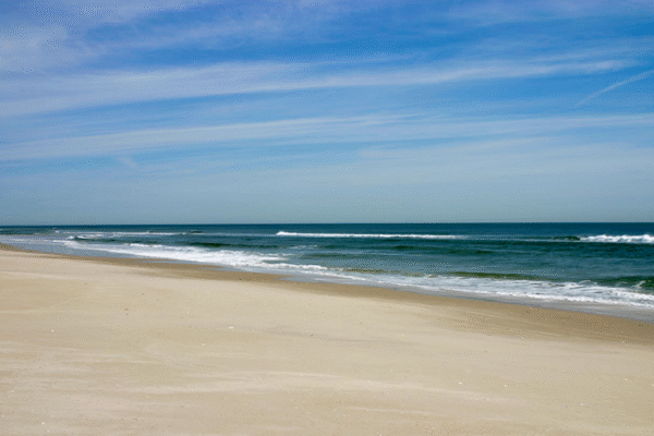 Island Beach State Park